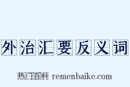 外治汇要反义词是什么意思的图片